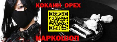 apvp Гатчина