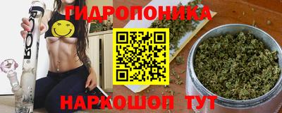 прущие грибы Нальчик
