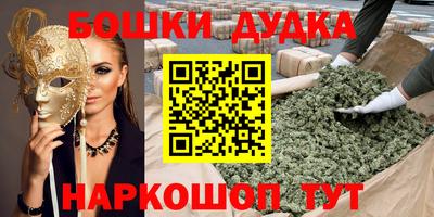 apvp Гатчина