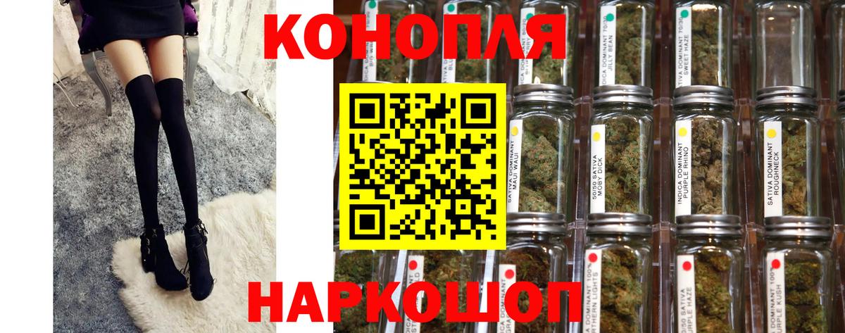 Конопля план Магнитогорск